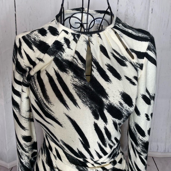 Cache Zebra Dress - Picture 3 of 10